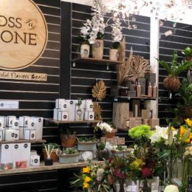 Moss n Stone Store