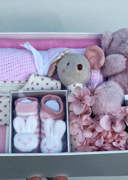 Baby Girl Gift Hamper