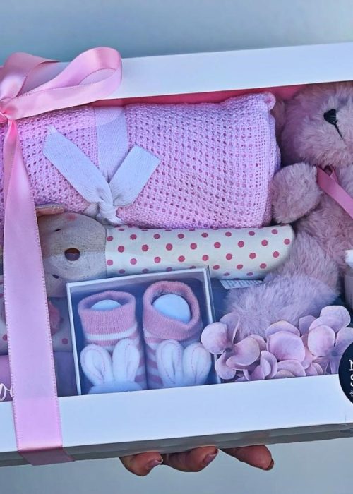 baby girl hamper