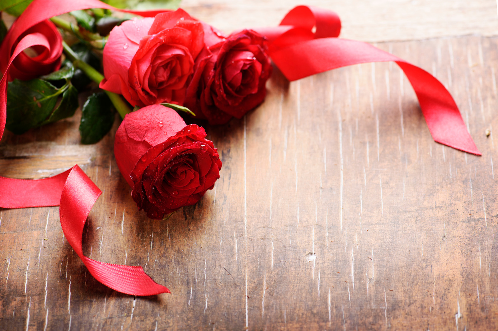 Red Roses With Red Ribbon